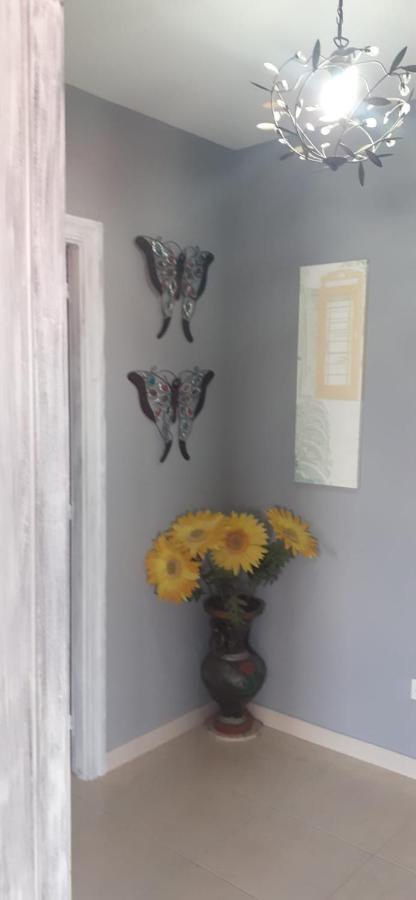 Apartamentos Puerto De Aguino Couso エクステリア 写真